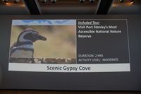 
DSC00091